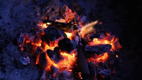 Small Campfire Burning to Hot Coals Stock Footage 92603697