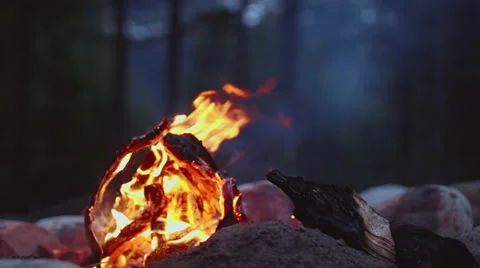 Small Campfire Burning in Slow Motion Stock Footage 37062283