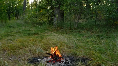 Small Campfire Burning in Woods Fire Pit Loop Stock Footage 343343680