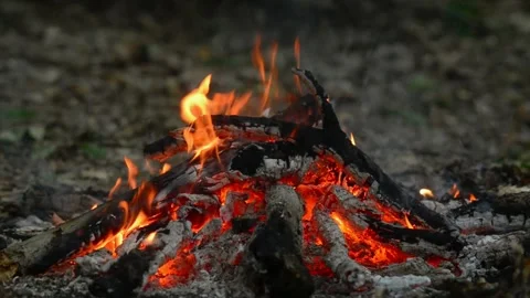 A small campfire burns in the forest at dusk — close-up, looped video. Video stock 342898069
