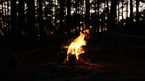 Small campfire in the dark night in the forest. Stock Footage 227885809
