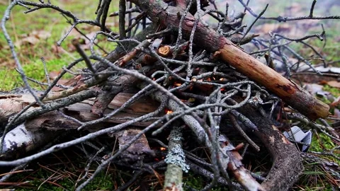 Small campfire with dry branches and twigs starting to burn, producing smoke Vídeo Stock 323909597