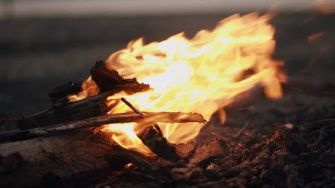 Small campfire with flames while a strong wind beside the sea Stock Footage 125659247