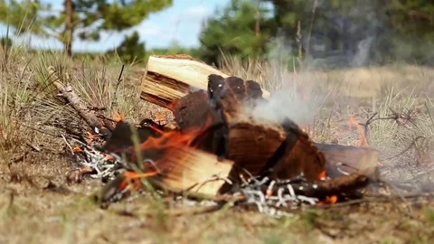 Small campfire Stock Footage 75218859