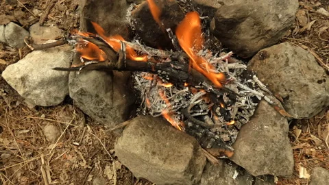 A small campfire. Stock Footage 160318902