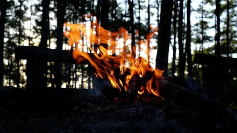 Small campfire in the winter evening in the forest.  Stock Footage 228243970