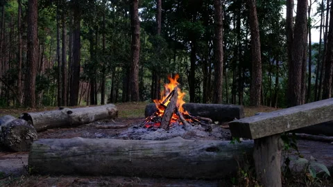 Small campfire in the winter evening in the forest.  Stock Footage 228244053