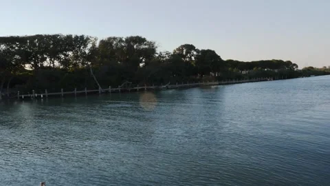 A small canal during sunset. Some fishes jump on water Stock Footage 136150460