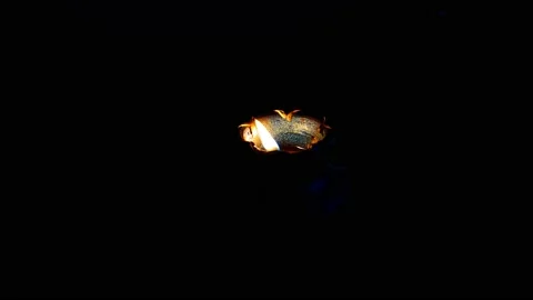 Small Candle Flame with black background Stock Footage 154364707