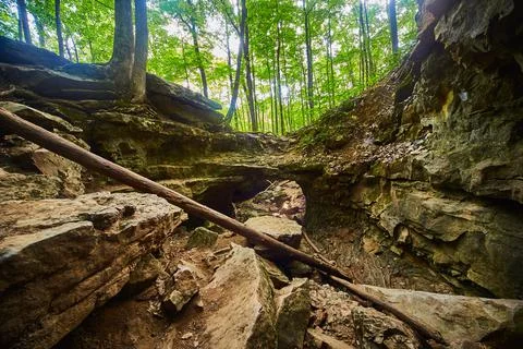 Small canyon within a forest with rocks and cliff walls Stock Photos
