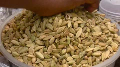 Small Cardamom Pods Display Stock Footage 321466113