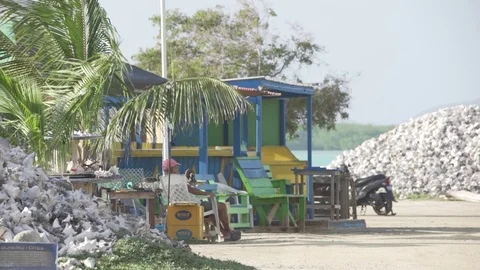 Small caribbean village Stock Footage 80222549