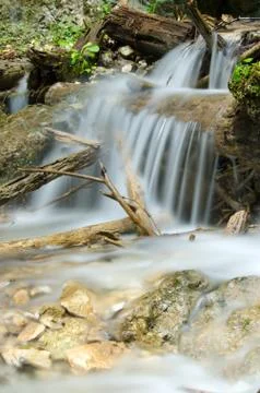 Small cascade between stones, branches and plants around. Stock Photos
