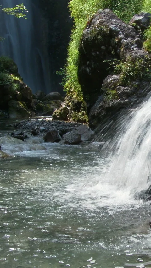 Small Cascade Into Clear Plunge Pool Vertical Video Vidéo 346065304
