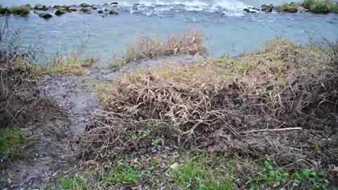 Small cascade at the danube river Stock Footage 296290502