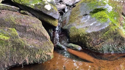 Small Cascade Flowing Between Moss Covered Granite Boulders in Burnt Meadow  Stock Footage 340986764