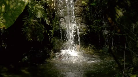 Small Cascade Stock Footage 8648384
