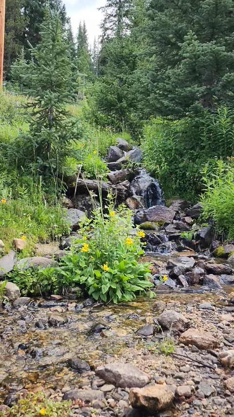 Small cascade 動画素材 204868789