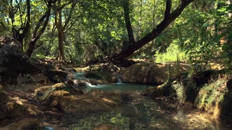 Small cascade in forest Vidéo 68602987