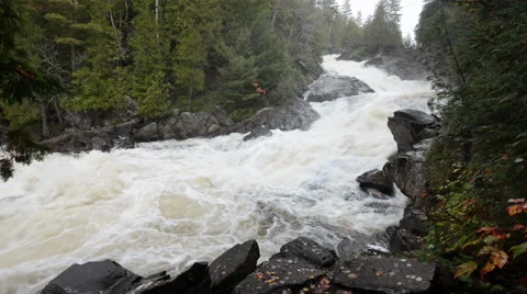 A small cascade on a highland river flows through stony riverbed Stock Footage 55513078