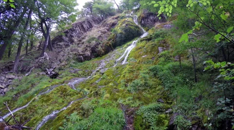 Small Cascade Moss 4K UHD Video stock 49922272