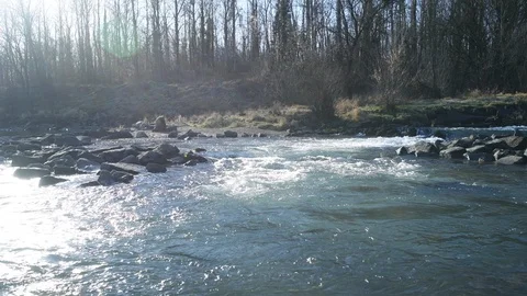 Small cascade in a riverside forest Stock Footage 126522523