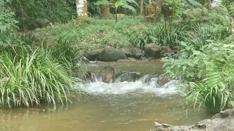 Small cascade of stream 스톡 동영상 101846251