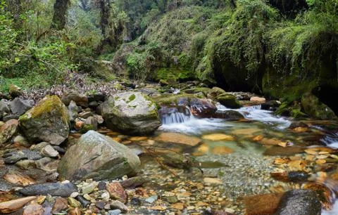 A small cascade on the stream in the murmorable moss and fern in the stonye, in Stock Photos