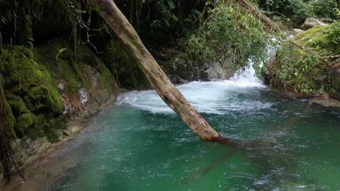 A small cascade in a tropical paradise found in the rainforest Stock Footage 151278425