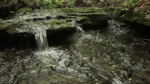 Small Cascade Upstream from Fall Hollow Falls in Tennessee Stock Footage 337499810