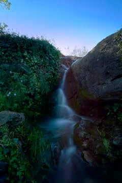 Small cascade of water between vegetation and flowers Stock Photos