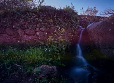 Small cascade of water between vegetation and flowers Stock Photos