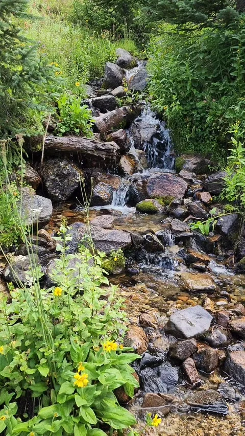 Small cascade of water 動画素材 204868678