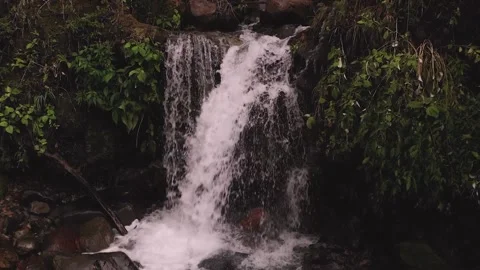 Small cascade waterfall in the middle of the rain forest. HD. Stock Footage