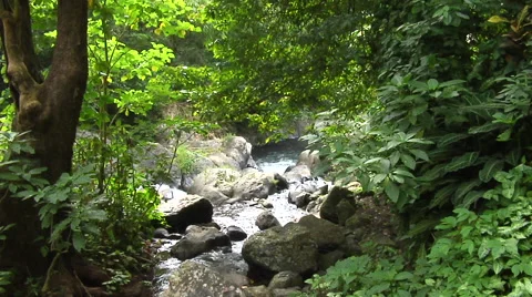 Small Cascade zoom in in the rain forest in Bali Stock Footage 41380541