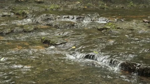 Small Cascades Flowing At Jacks Branch Along Natchez Trace Parkway Tennessee Stock Footage 337131487