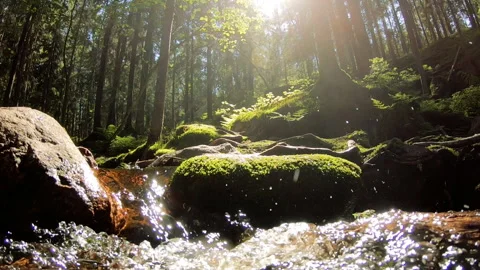 Small cascading creek Stock Footage 155645680