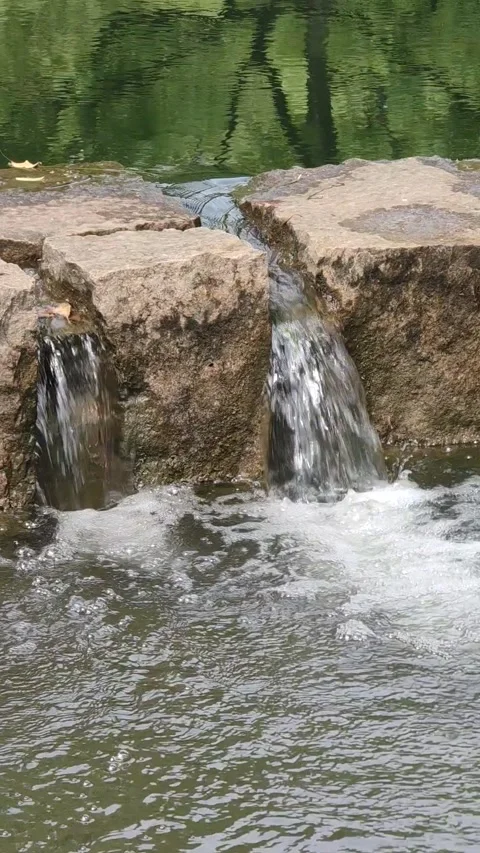 Small cascading stream waterfall with rock steps in the garden Stock Footage 246430229