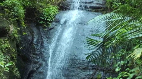 A small cascading waterfall falls on a black stone wall on a mountain Video stock 124680634