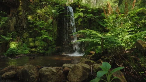 Small cascading waterfall flowing over moss-covered rocks into a peaceful forest Vídeo Stock 336054612