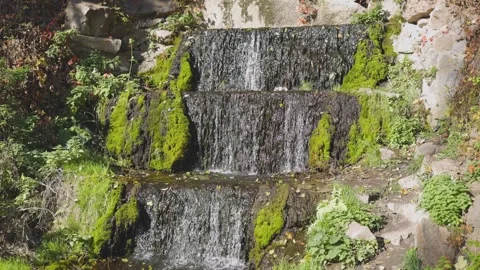 A small cascading waterfall flows over moss-covered rocks, surrounded Stock Footage 296652132