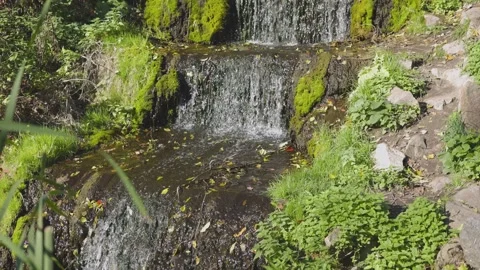 A small cascading waterfall flows over moss-covered rocks 스톡 동영상 297225568