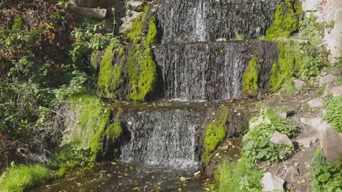 A small cascading waterfall flows over moss-covered rocks Video stock 304587872