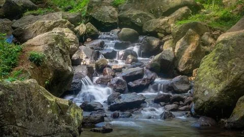A small, cascading waterfall flows over smooth, mossy rocks in a lush, gree.. Stock Photos