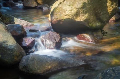 A small, cascading waterfall flows over smooth, mossy rocks in a lush, gree.. Stock Photos
