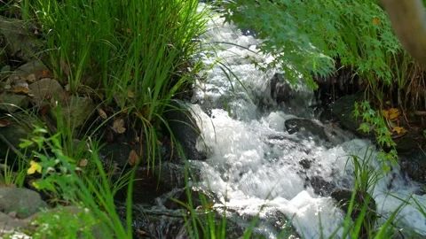 Small cascading waterfall in the forest Stock Footage 324561984