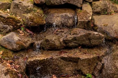 Small Cascading Waterfall Over Natural Stone Steps in Forest Stream Foto stock