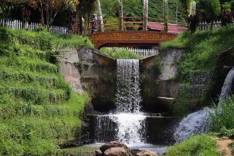 A small cascading waterfall surrounded by lush green grass and plants. Stock Photos