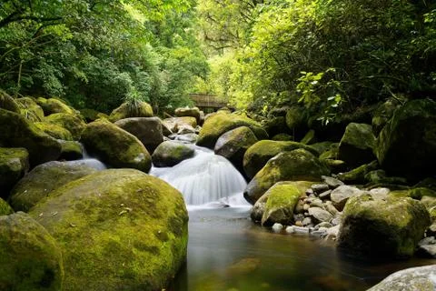 Small cascading waterfall on the Wairere Falls Trail Stock Photos