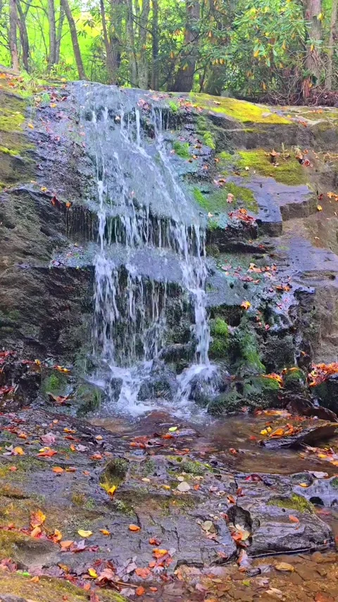 Small Cascading Waterfalls Video Vertical Stock Footage 318958756